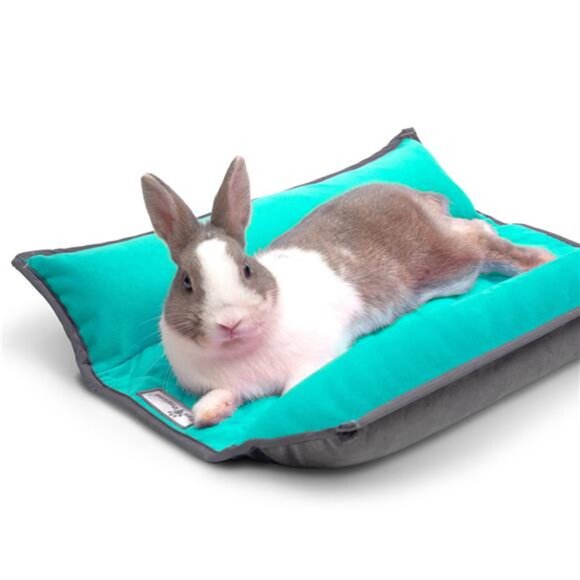 Snuggle Bunny Bed for Rabbits, Cat and Other Small Pets and - Picture 1 of 7